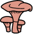 Reishi Mushroom Powder