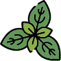 Tulsi Powder